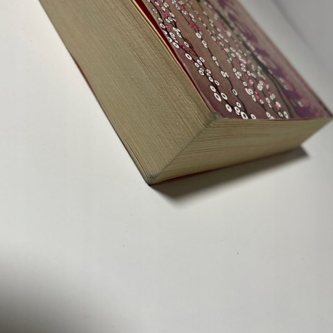 Ślepa wierzba i śpiąca kobieta Haruki Murakami Ślepa wierzba i śpiąca kobieta Haruki Murakami