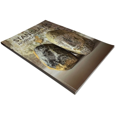 Stanisław Horno-Popławski. Katalog zbiorów Bydgoskiego Centrum Sztuki praca zbiorowa Stanisław Horno-Popławski. Katalog zbiorów Bydgoskiego Centrum Sztuki praca zbiorowa