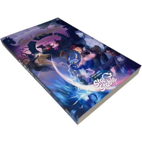 Soul Riders Kamienny krąg Helena Dahlgren