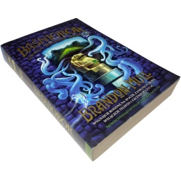 Baśniobór Gwiazda wieczorna wschodzi Brandon Mull