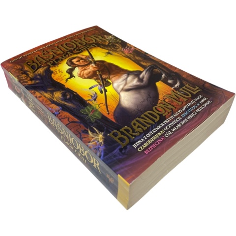 Baśniobór Plaga cieni Brandon Mull