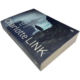 Ciernista róża Charlotte Link