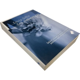 Coś niebieskiego Emily Giffin