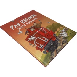 Pan Brumm jedzie pociągiem Daniel Napp