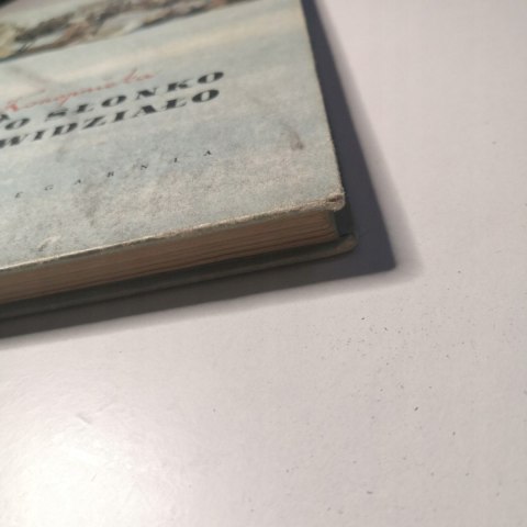 Co słonko widziało Maria Konopnicka