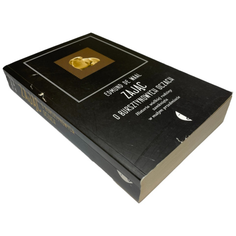 Zając o bursztynowych oczach Edmund De Waal Zając o bursztynowych oczach Edmund De Waal