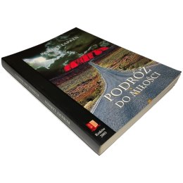 Podróż do miłości Robert Larken