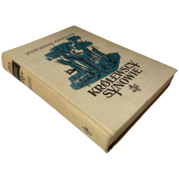 Królewscy synowie Józef Ignacy Kraszewski