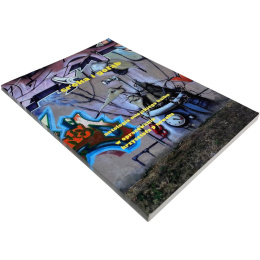 Sroka i gołąb. Antologia miejskiego haiku Krzysztof P. Nowak